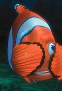 Buscando a Nemo Buscando a Nemo
