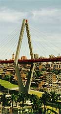Pereira