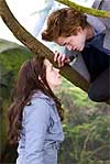 'Crepúsculo' 'Crepúsculo'